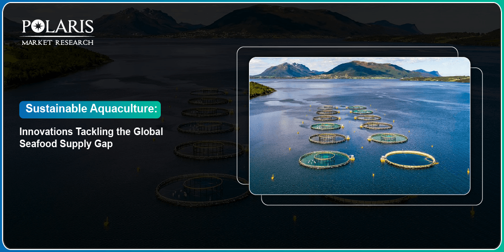 Sustainable Aquaculture: Innovations Tackling the Global Seafood Supply Gap
